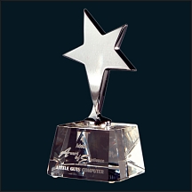 Crystal and Metal Star Award