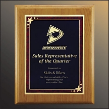 Chicago Series Plaque