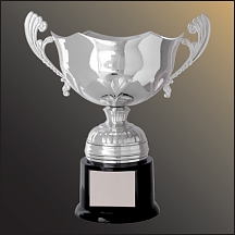 Wellington Series Cups