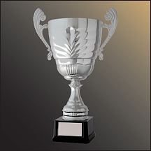 Surrey Series Cups