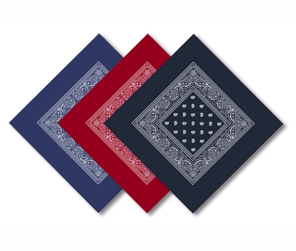 Paisley Bandana