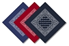 Paisley Bandana