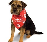 Doggie Bandanas