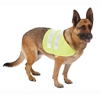 Dog Safety Vest