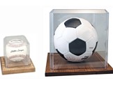 Clear acrylic cases with wood bases