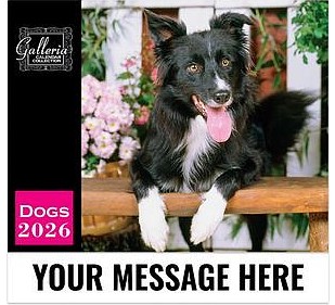 Dogs