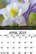 Flower Apr.