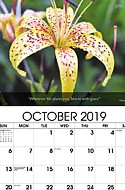 Flower Oct.