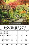 Flower Nov.