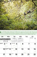 Go Green Nov.