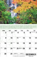 Go Green Dec.