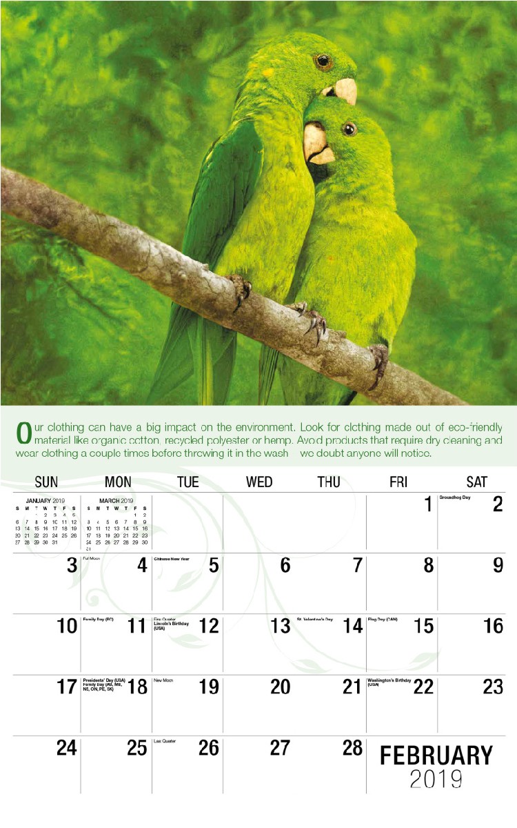 Go Green Calendar - February