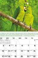 Go Green Feb