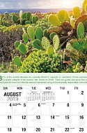 Go Green Aug.