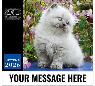 Kittens