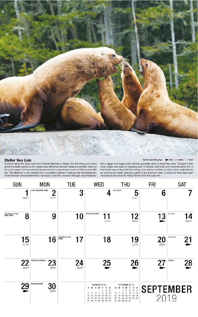 North American Wildlife