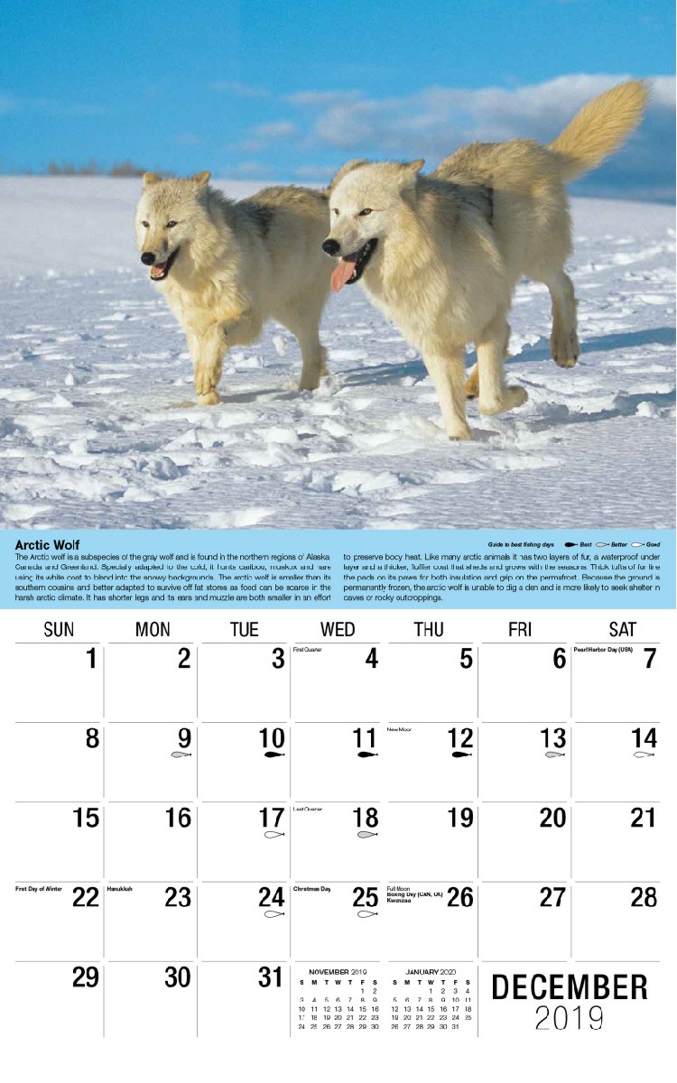 North American Wildlife