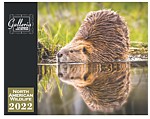 N. Am. Wildlife