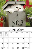Kittens Jun.