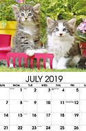 Kittens Jul.