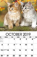 Kittens Oct.
