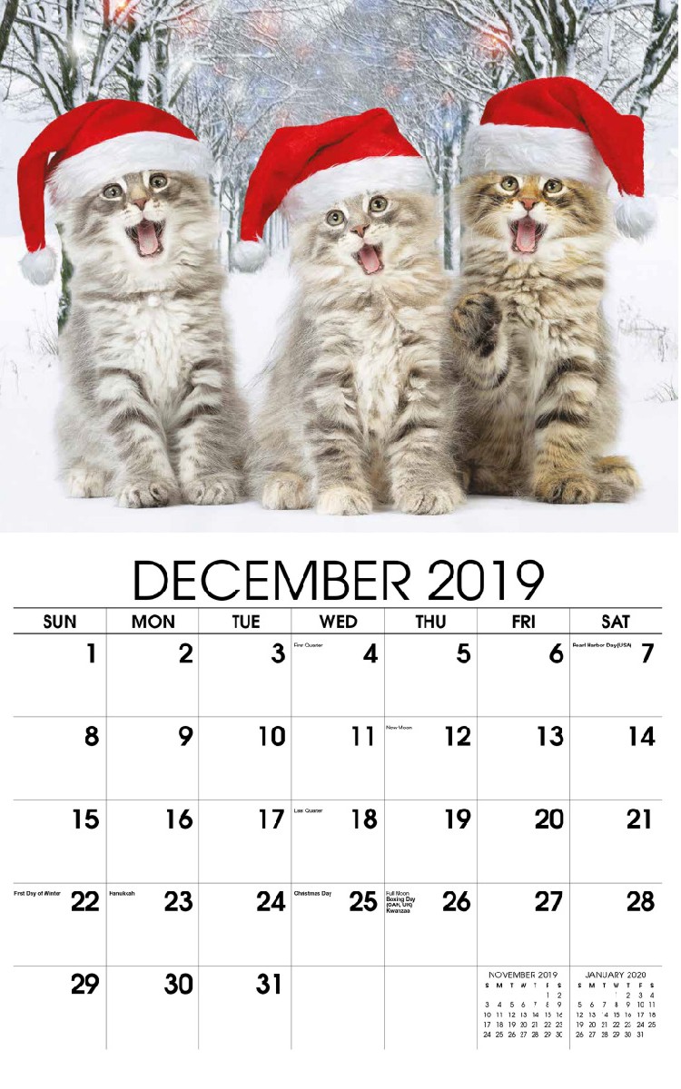 Kittens