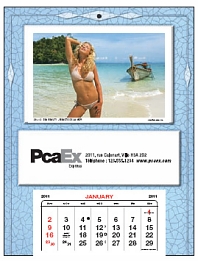 Mount Calendars