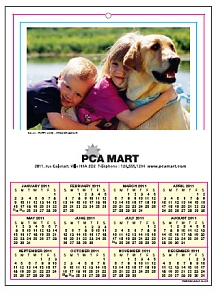 12 Month Calendars