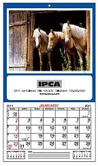 Memo Calendars
