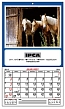 Memo Calendars