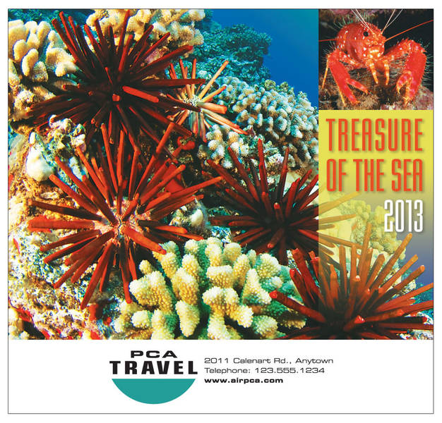 Treasure of the Sea