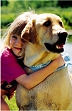 Puppy Love