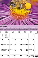 Planet Earth Feb.