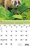 Planet Earth Apr.