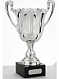 Sports Cups