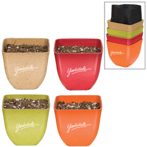 Bamboo Set of Four Pots