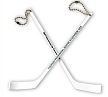 Player hockey stick,