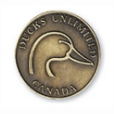 Domestic Series Coins