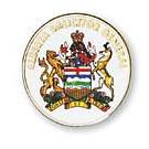 Foto Color Lapel Pins