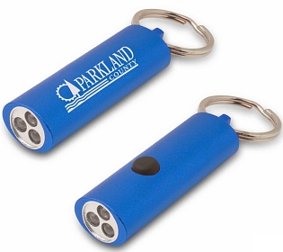 Oval Keychain Light