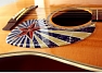 Acoustic Guitar Pick Guard
