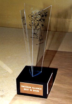 Custom Lexan trophy