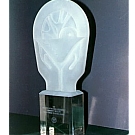 Csulpted Acrylic trophy