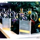 DSP Cusom Acrylic Trophy