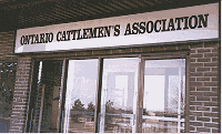 Illuminated outdoor signs