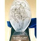 Acrylic/brushed gold trophy