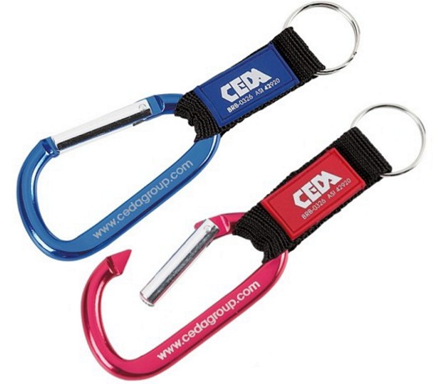 0326 - Carabiner with Web Strap and Key Ring