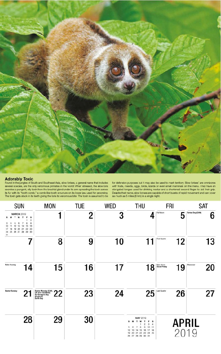Planet Earth Calendar - April