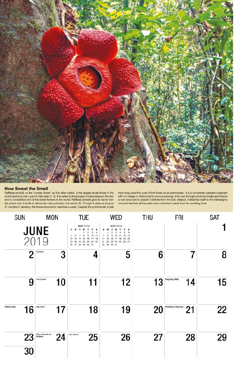 Planet Earth Calendar - June