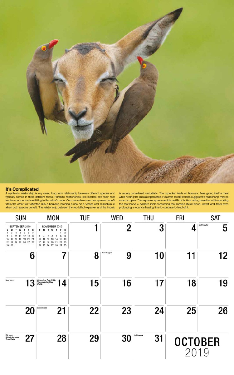 Planet Earth Calendar - October